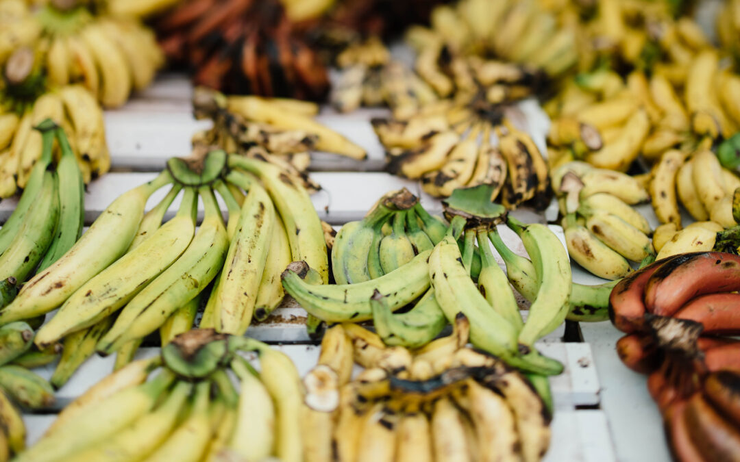 Nothing Plain About Plantains