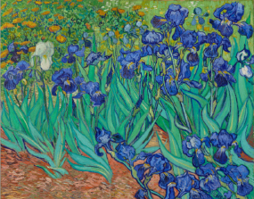 An Immersive Van Gogh Experience Comes to Albuquerque